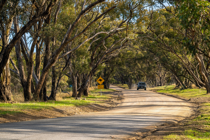 Kangaroo sign along the country road at Onkaparinga River National Park